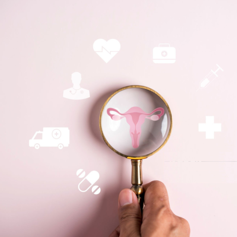 Gynekologia