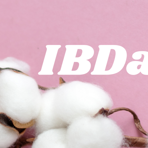 IBDay